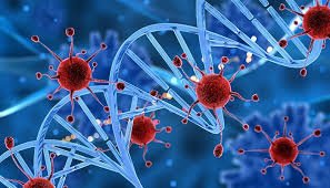 Avanços em tecnologias de sequenciamento e análise do microbioma humano permitem a identificação de estruturas genéticas atípicas, destacando como ferramentas modernas estão revelando camadas invisíveis da biologia humana.