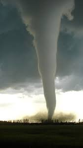 Pesquisas sobre fenômenos naturais comuns revelam como pequenos eventos observáveis contribuem para explicar o funcionamento global do planeta, auxiliando na educação científica e na criação de estratégias para preservação ambiental.