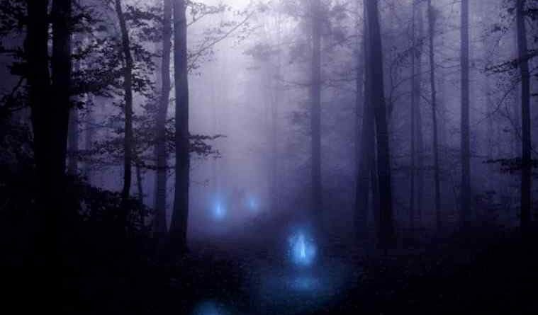 Registro histórico de um fenômeno atmosférico raro no século XIX, conhecido como “chuva de carne”, analisado pela ciência moderna como um caso de interpretação limitada por falta de dados e tecnologia da época.