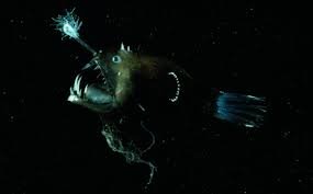 Imagem genérica do oceano profundo simbolizando regiões pouco conhecidas do planeta, onde sons submarinos, formações geológicas incomuns e ecossistemas extremos continuam sendo investigados por pesquisadores.