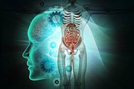 Abordagem informativa sobre o que muda e o que permanece inalterado no corpo humano quando há uma pausa prolongada no uso do celular, com base em evidências científicas atuais.