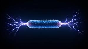 Texto alternativo: Experimento demonstra produção de eletricidade por bactéria exposta à luz ultravioleta em ambiente controlado.