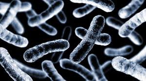 Texto alternativo: Estudo científico sobre bactéria que converte luz ultravioleta em corrente elétrica detectável em laboratório.