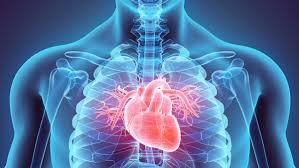 Explicação geral sobre a variação natural do ritmo cardíaco em resposta a emoções e respiração.