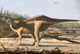 Descrição geral de fósseis pré-históricos encontrados em território espanhol que levaram à classificação de uma espécie inédita para a ciência.