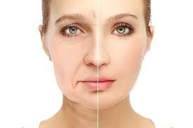 Texto explicativo sobre como avanços na biologia ajudam a compreender o envelhecimento em nível molecular.