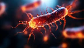 Texto alternativo: Pesquisa em bioeletricidade investiga microrganismo capaz de gerar energia a partir de radiação UV.