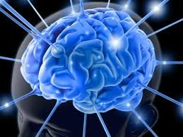 Explicação geral sobre o alto consumo de energia do cérebro humano mesmo durante o repouso físico.